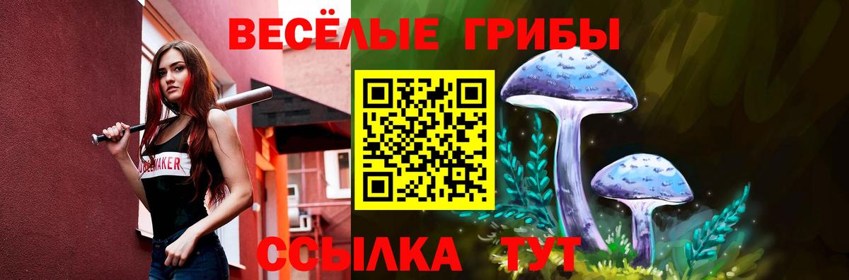 Галлюциногенные грибы GOLDEN TEACHER Сорочинск