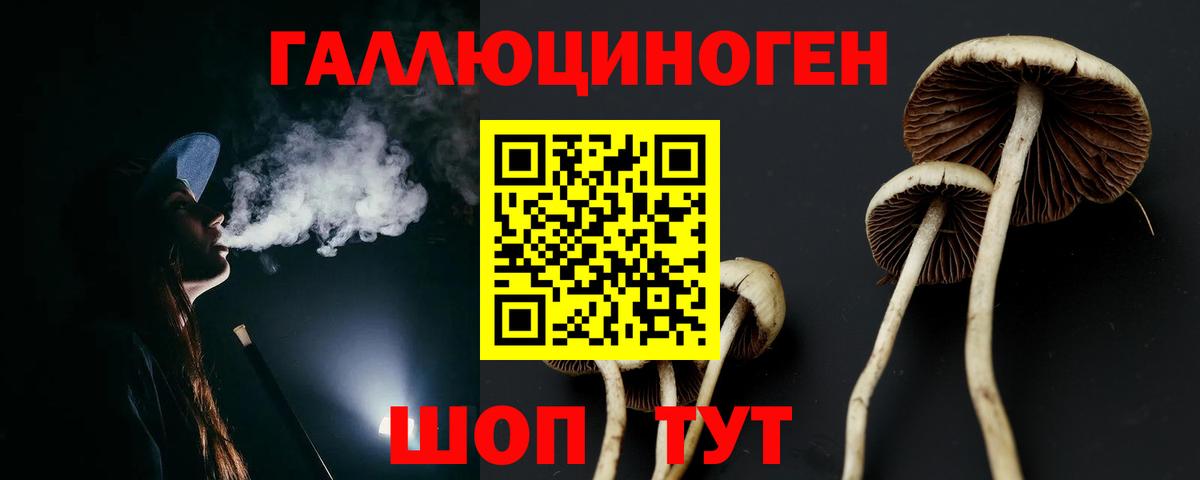 Псилоцибиновые грибы Psilocybine cubensis  как найти наркотики  Сорочинск  Вход с VPN 